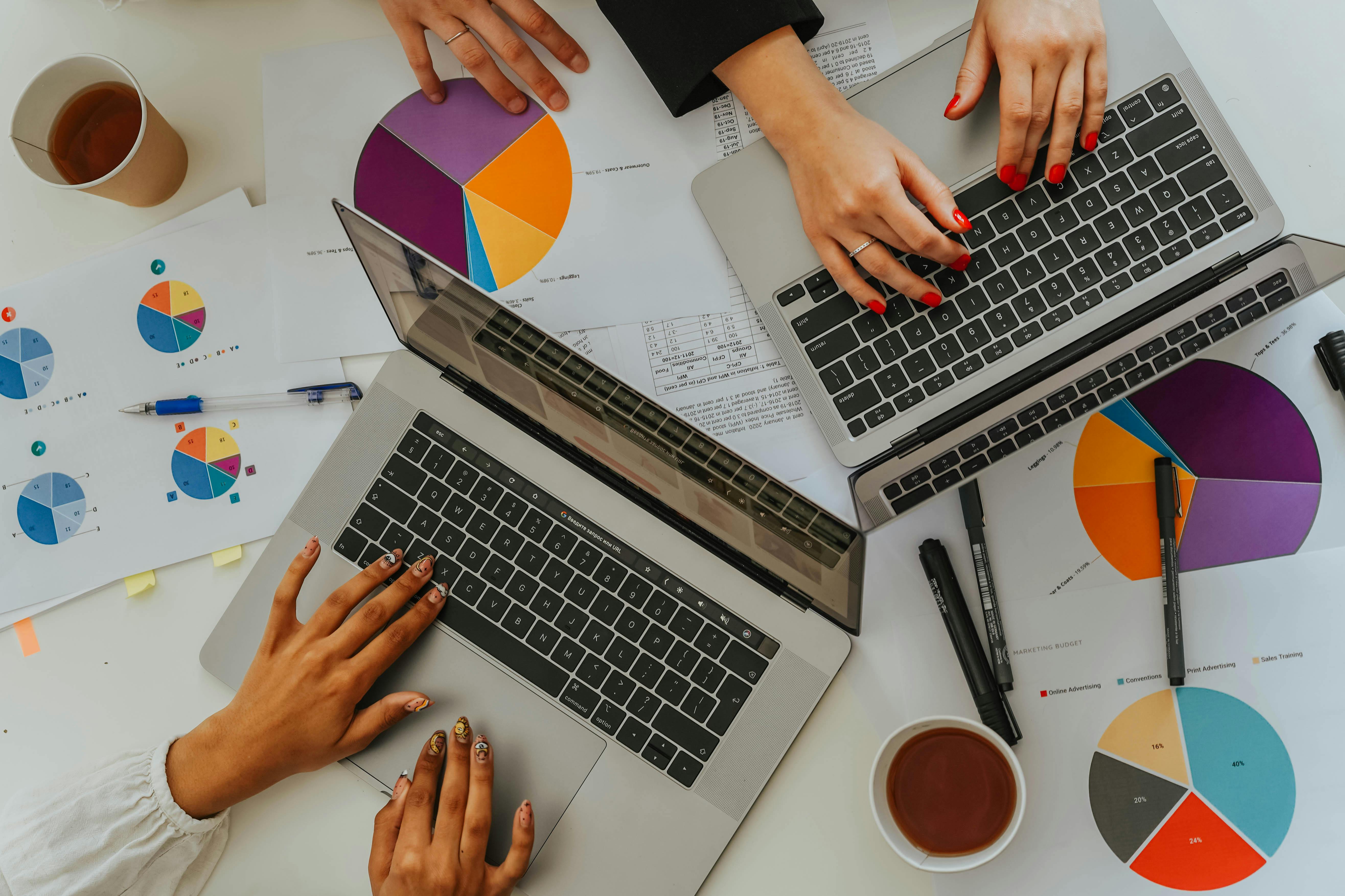 stock data reports